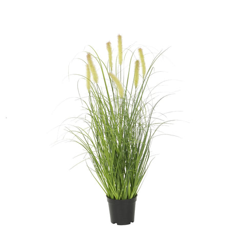Gras im Topf, 73 cm