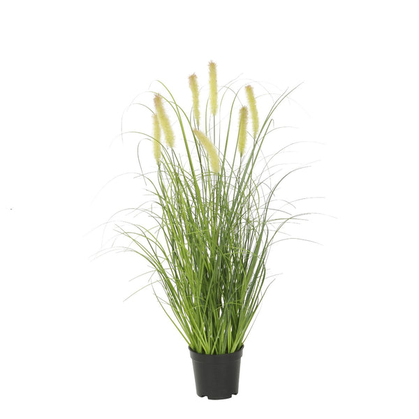 mypureliving | Gras im Topf 73 cm